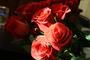 Красные розы любви 